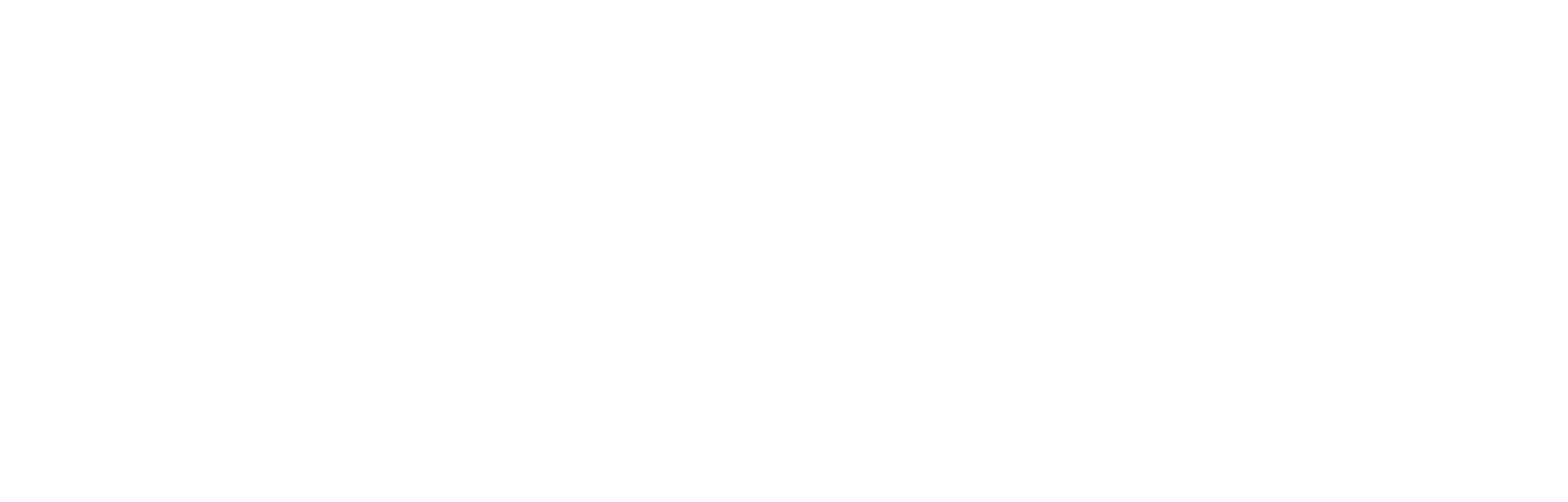 Syber Technology